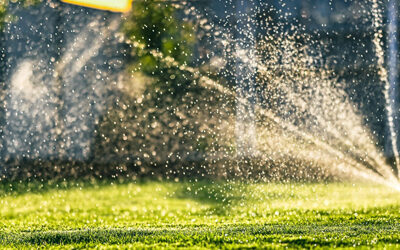 Watering