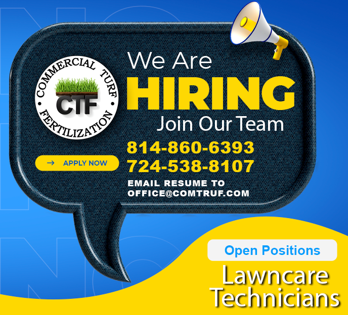 we-are-hiring